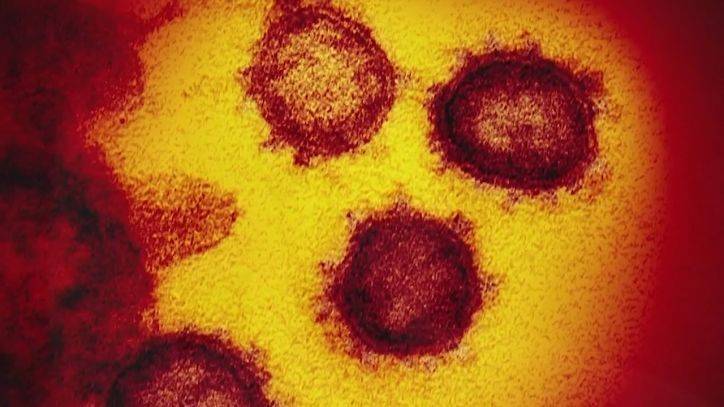 Joyce Evans - Bucks County health officials announce 3 presumptive positive cases of coronavirus - fox29.com - state Pennsylvania - county Bucks
