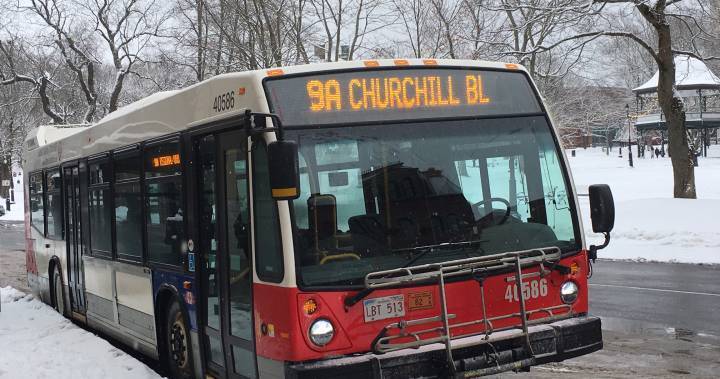 John Saintjohn - Saint John transit waives fares, asks riders to use rear doors amid coronavirus - globalnews.ca