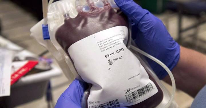 Lanette Siragusa - Diana Foxall - Healthy Manitobans urged to donate blood during coronavirus crisis - globalnews.ca