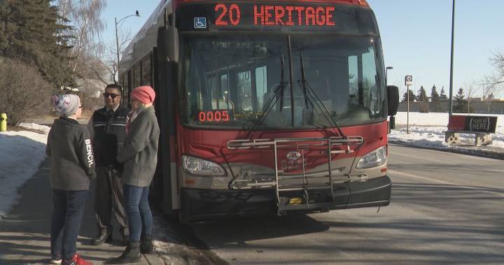 Calgary Transit - Calgary Transit to start asking people to board buses at rear door due to COVID-19 - globalnews.ca
