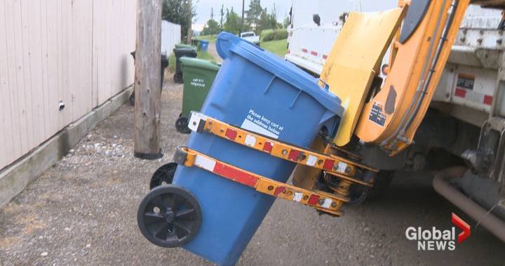 Naheed Nenshi - Calgary Mayor Naheed Nenshi announces utility bill deferrals in light of COVID-19 - globalnews.ca