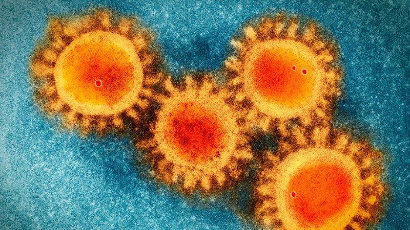 Study finds Covid-19 coronavirus of natural origin - pharmaceutical-technology.com
