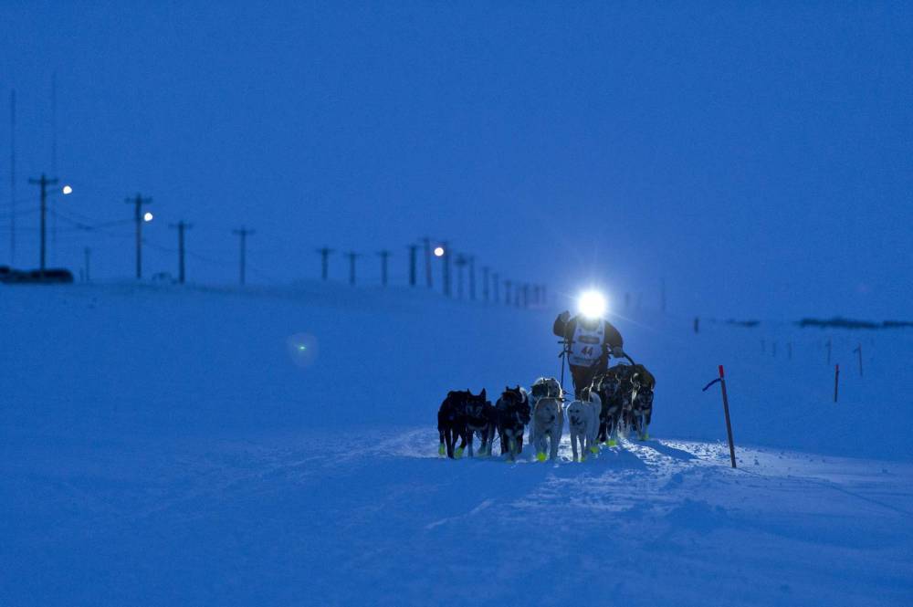 A day after musher wins Iditarod, others face woes on trail - clickorlando.com - France - Norway - state Alaska