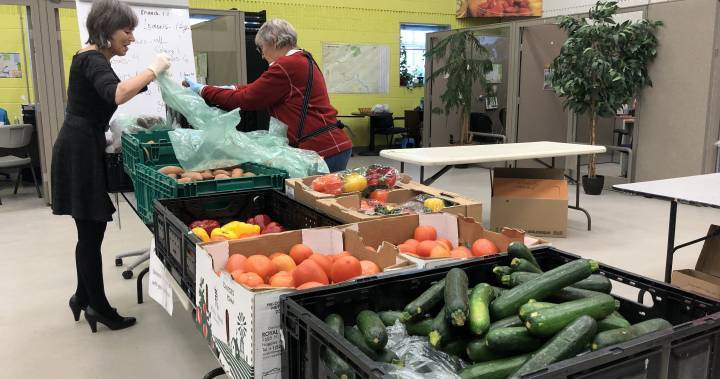 Volunteers, donations in short supply at food banks in New Brunswick - globalnews.ca - city New Brunswick