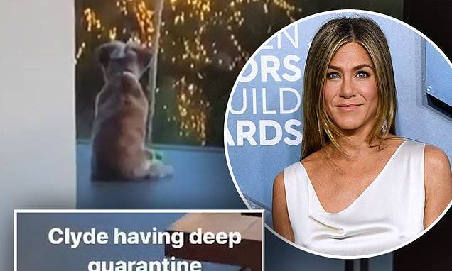 Jennifer Aniston - Jennifer Aniston shares snippet of her dog 'having deep quarantine thoughts' - dailymail.co.uk - state California - Los Angeles, state California