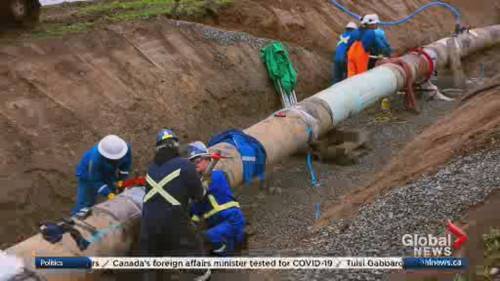 Nicole Stillger - Oil price drop to historic lows amid COVID-19 pandemic - globalnews.ca - Canada