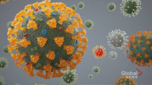 Silas Brown - Coronavirus outbreak: New Brunswick declares state of emergency to combat COVID-19 - globalnews.ca - city New Brunswick