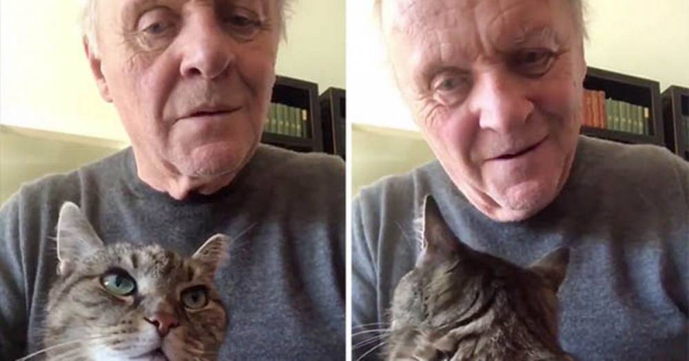 Anthony Hopkins - Coronavirus: Anthony Hopkins plays the piano to his cat in touching isolation clip - dailystar.co.uk