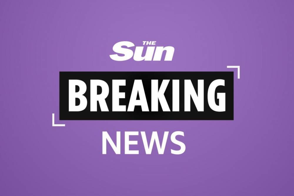 Sam Kane - Linda Lusardi’s husband Sam Kane reveals they have been hospitalised and are ‘very ill’ with coronavirus symptoms - thesun.co.uk