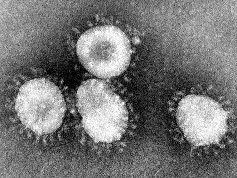 Coronavirus outbreak: the story so far - pharmaceutical-technology.com - India - Germany - Syria