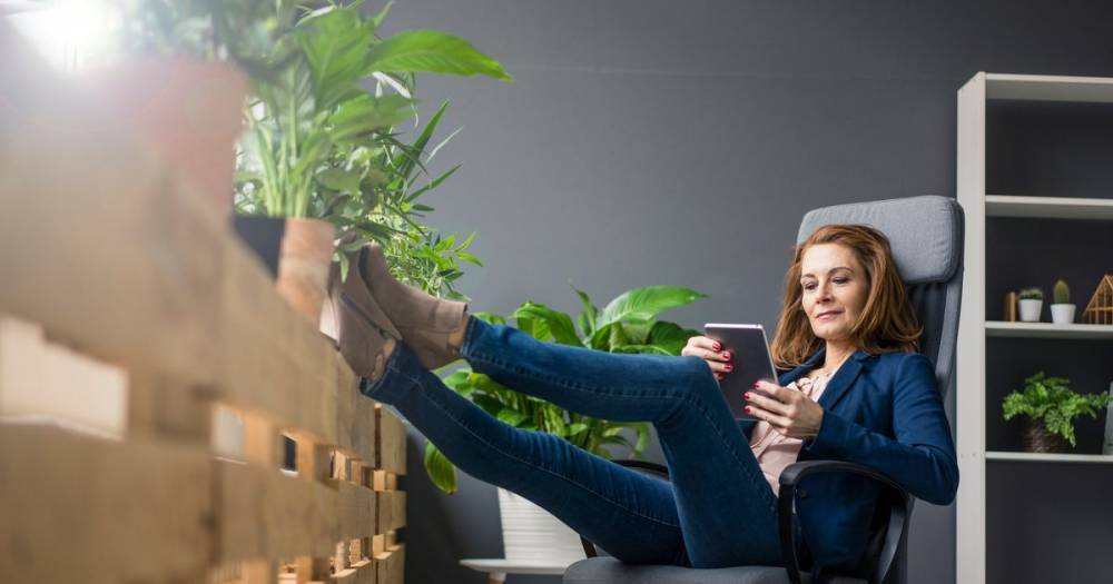 How you can improve the quality of air while working from home with plants approved by NASA - ok.co.uk