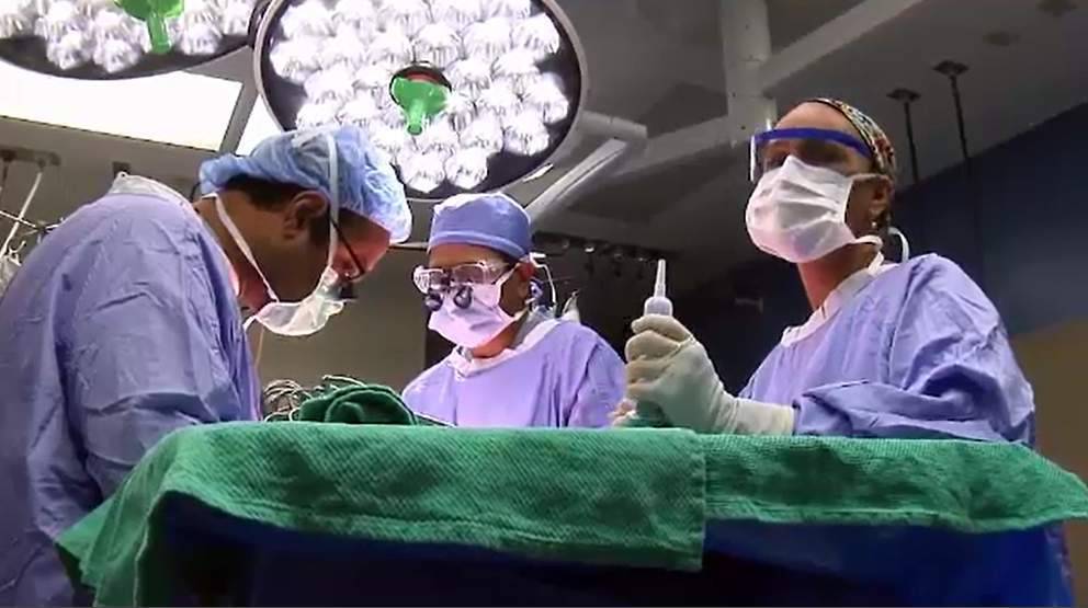 AdventHealth bans visitors due to coronavirus pandemic - clickorlando.com - state Florida