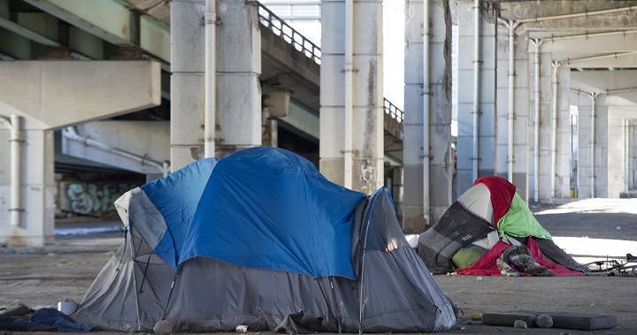 Matthew Pegg - Coronavirus: Toronto introduces protection measures for the homeless - globalnews.ca