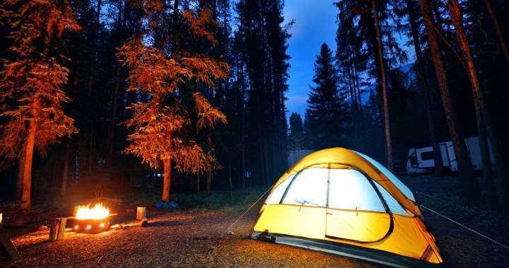 Camping suspended at BC Parks due to coronavirus pandemic - globalnews.ca