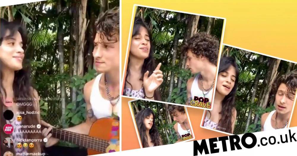 Camila Cabello - Shawn Mendes - Ed Sheeran - Camila Cabello and Shawn Mendes look loved up as they sing songs in self-isolation - metro.co.uk