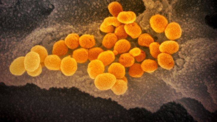 Global coronavirus cases top 300,000, with 13,000 deaths - fox29.com - New York - Italy