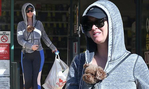 Katy Perry - Orlando Bloom - Katy Perry hides her burgeoning baby bump while making a drugstore run with darling dog Nugget - dailymail.co.uk - Los Angeles - city Los Angeles