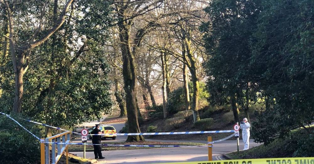 Witnesses relive horror as girl, 7, murdered in park while playing with mum and dad - dailystar.co.uk