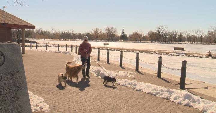 Lethbridge residents find ways to get outdoors during COVID-19 pandemic - globalnews.ca - county Park - county Henderson