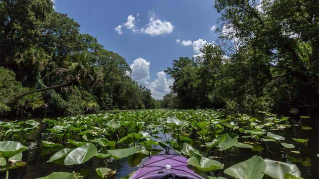 All Florida State Parks to close Monday due to COVID-19 pandemic - clickorlando.com - state Florida