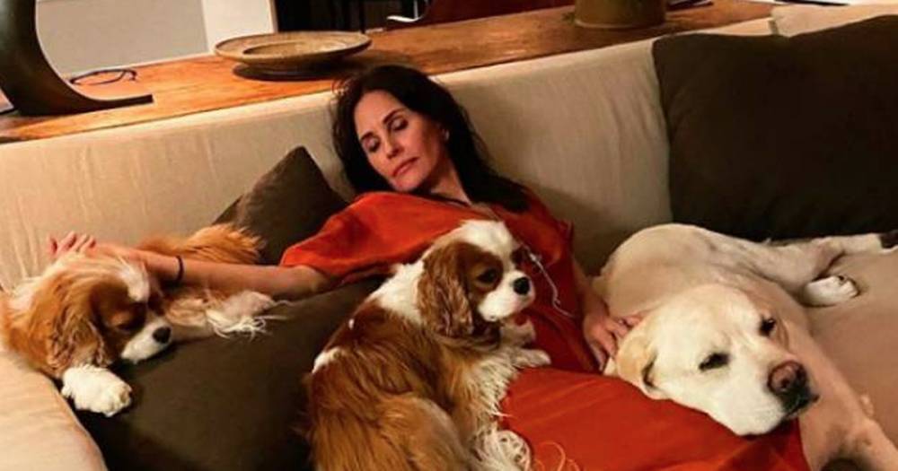 Monica Geller - Courtney Cox - Inside Courtney Cox's luxurious Malibu house ahead of Friends reunion episode - ok.co.uk - state California - city Malibu, state California