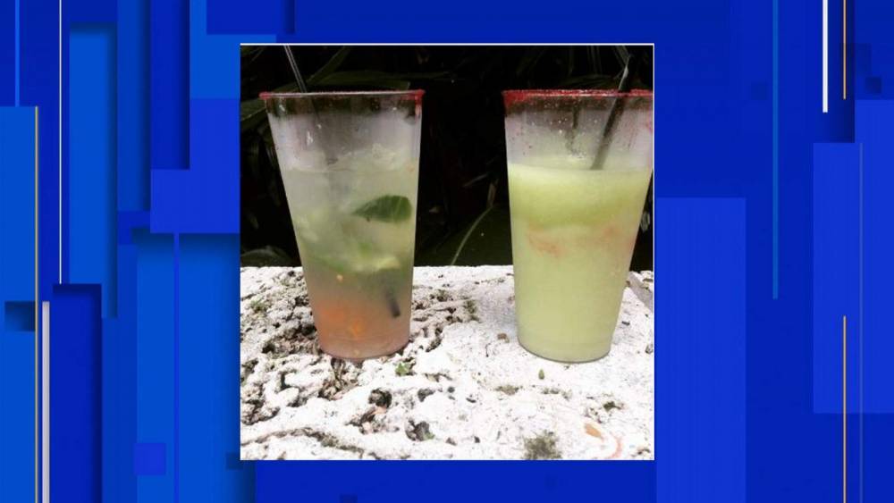 Magical mixology: Learn how to make famous drinks from Epcot’s La Cava del Tequila at home - clickorlando.com - Mexico