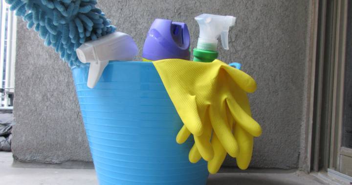 Coronavirus: Pro cleaning companies busy during COVID-19 pandemic, Hamilton home cleaners struggle - globalnews.ca - Canada