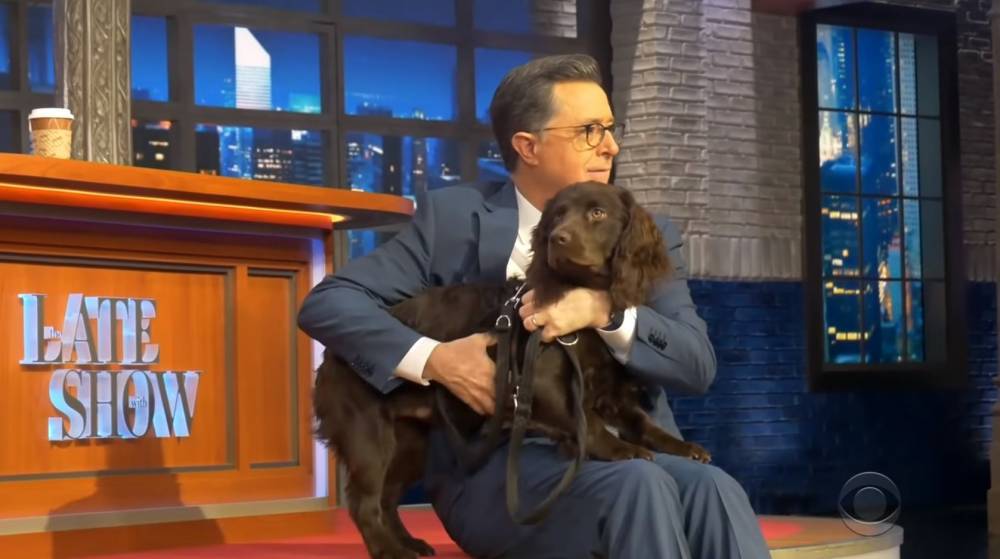 Stephen Colbert - ‘The Late Show’ Pays Tribute To Benny Colbert For National Puppy Day - etcanada.com