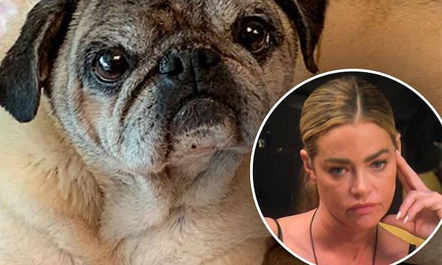 Denise Richards - Denise Richards is 'gutted and devastated' over the loss of her family's 15-year-old dog Henry - dailymail.co.uk