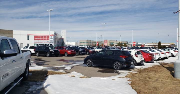 Coronavirus: Car dealerships, local shops still open in Lethbridge - globalnews.ca