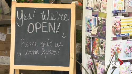 Edmonton mall still open, but few businesses operating inside - globalnews.ca