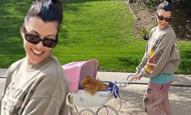 Kourtney Kardashian - Kourtney Kardahsian pushes her Pomeranian in pram in jokey Instagram post during self-isolation - dailymail.co.uk