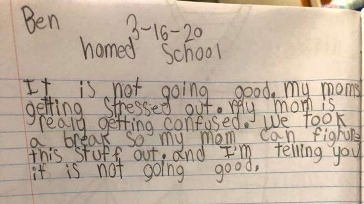 Boy roasts mom in hilarious journal entry on first day of homeschooling: 'It is not going good' - fox29.com - state Kentucky