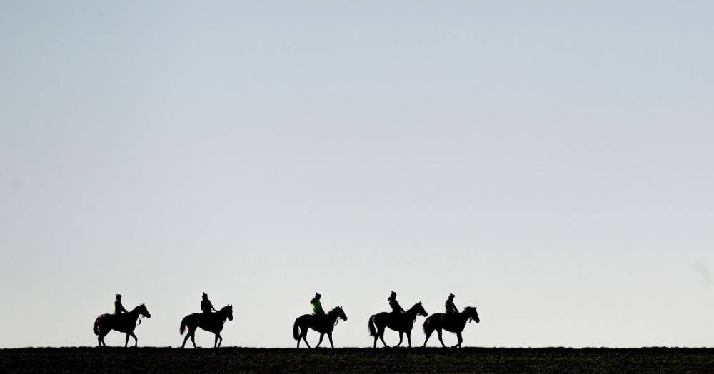 Paddy Power - High hopes Irish Lincolnshire favourite Patrick Sarsfield is better than a handicapper - mirror.co.uk - Ireland - France