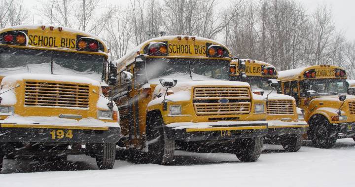 Winnipeg School Division bus drivers delay strike vote amid coronavirus pandemic - globalnews.ca
