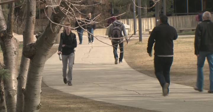Alberta Coronavirus - U of A and NAIT students say new grading systems during COVID-19 pandemic is unfair - globalnews.ca