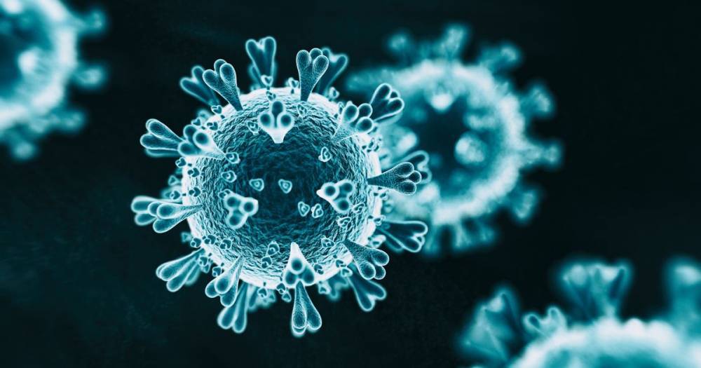 Coronavirus blood test that tells you if you're immune 'will roll out this week' - dailystar.co.uk - New York