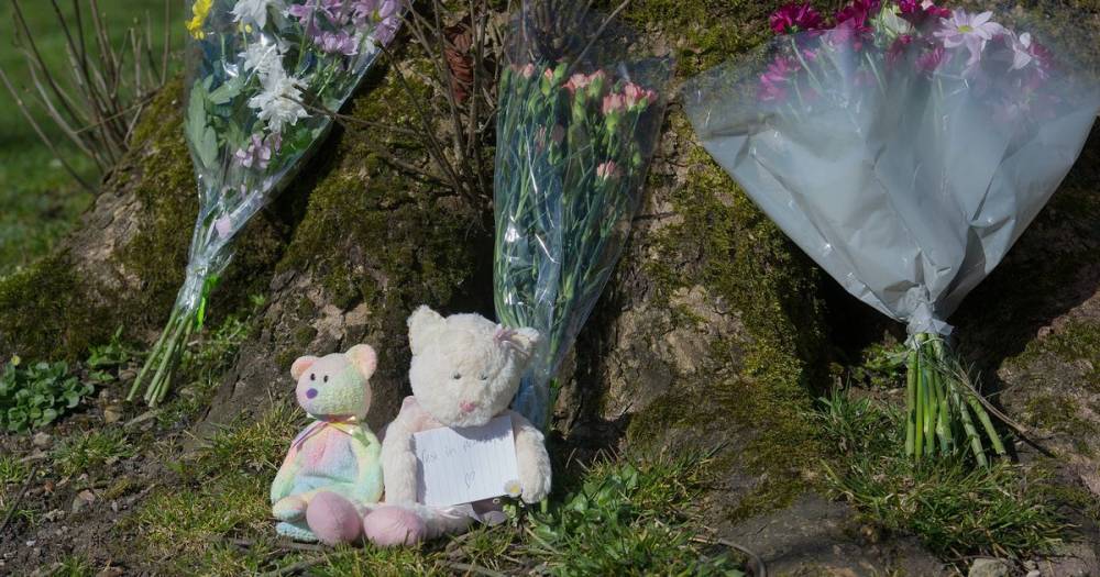 'Queen's Park Angel' appeal raises funds for family of seven-year-old girl stabbed to death in Bolton - manchestereveningnews.co.uk - city Bolton - county Harrison