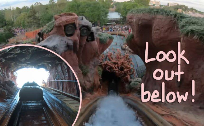 Robert De-Niro - Family Hilariously Recreates Disneyland’s Splash Mountain Ride Amid Coronavirus Vacation Cancellations! - perezhilton.com - Usa - Jordan