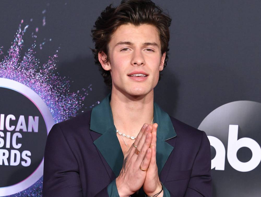 Shawn Mendes Donates $175,000 To SickKids To Support Their COVID-19 Preparedness Efforts - etcanada.com