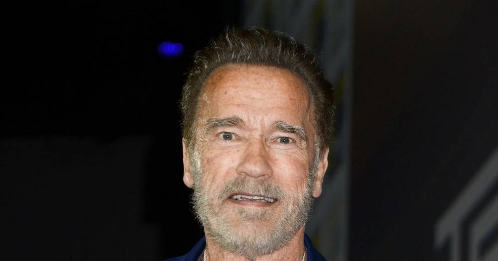 Arnold Schwarzenegger - Arnold Schwarzenegger donates $1M to medical responders fund - wonderwall.com