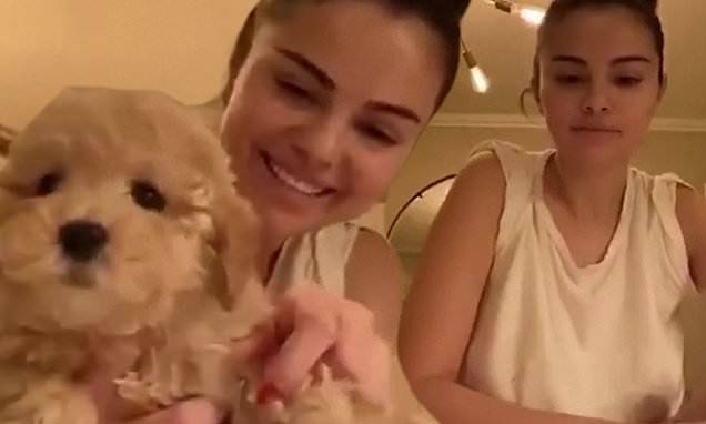 Selena Gomez - Selena Gomez introduces her new puppy Daisy to the world while encouraging fans to stay home - dailymail.co.uk - state California