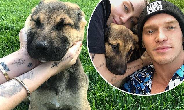 Miley Cyrus reveals she's rescued a new puppy as she stresses the need to adopt abandoned animals - dailymail.co.uk - state California - city Cody, county Simpson - county Simpson - city Studio, state California