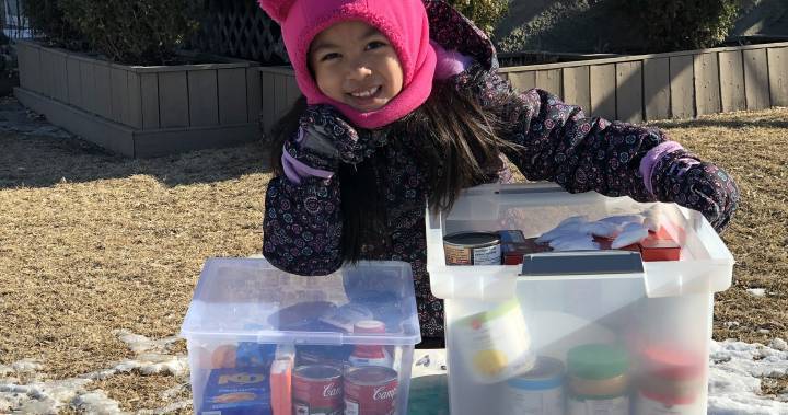 Winnipeg girl shares groceries, art, smiles during trying times - globalnews.ca