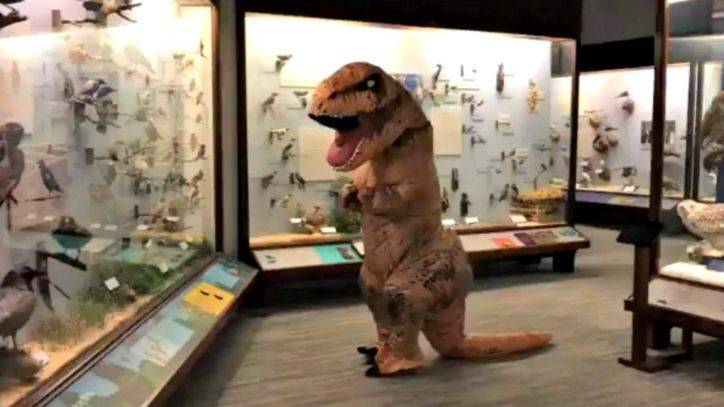 After penguins go viral, beloved Chicago dinosaur 'Sue' checks out Field Museum - fox29.com - state Illinois - city Chicago
