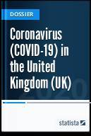 Coronavirus (COVID-19) in the United Kingdom (UK) - statista.com - Britain