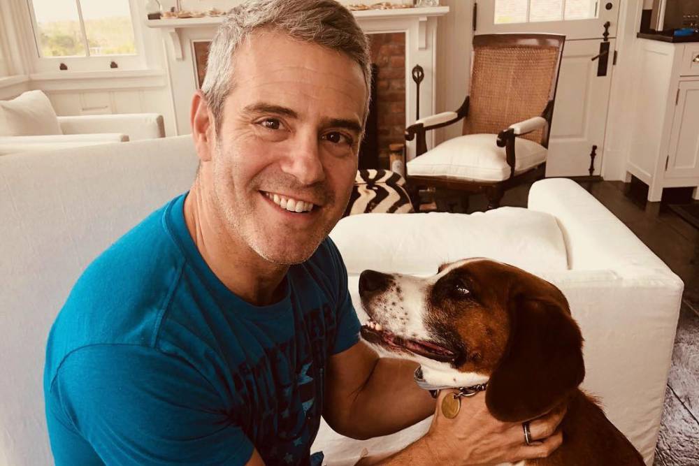 Andy Cohen - Andy Cohen Is "Getting Better Every Day" After Testing Positive for Coronavirus - bravotv.com - city New York