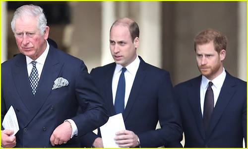 Harry Princeharry - Meghan Markle - Charles Princecharles - Here's How Prince Harry & Prince William Found Out About Prince Charles' Coronavirus Diagnosis - justjared.com - Britain - Canada - county Prince William