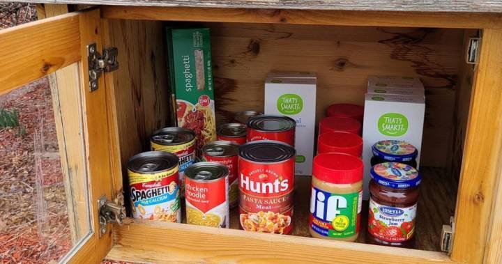 Community turns Little Libraries into food, toilet paper-sharing stops amid coronavirus - globalnews.ca - city Chicago