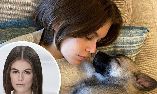 Kaia Gerber - Kaia Gerber snuggles up with one of the adorable puppies she's fostering while self-isolating - dailymail.co.uk - New York